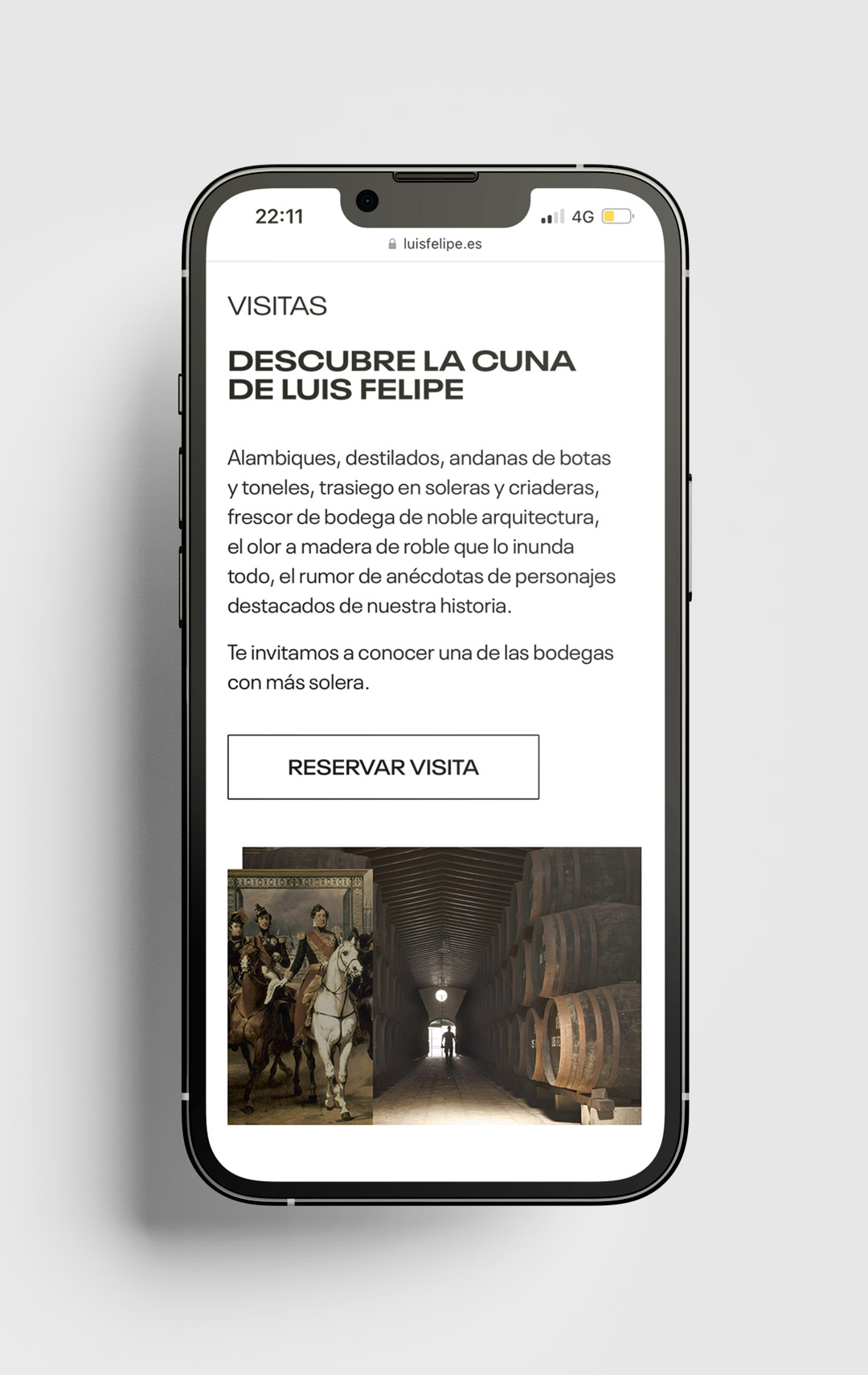 Diseño-web-responsive-Sevilla-Bodegas-Rubio-Luis-Felipe-v1